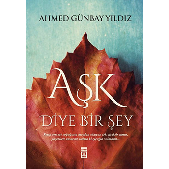 Aşk Diye Bir Şey Ahmed Günbay Yıldız