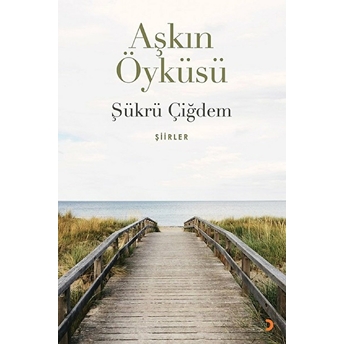 Aşkın Öyküsü - Şükrü Çiğdem