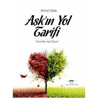 Aşkın Yol Tarifi Ahmet Tükek