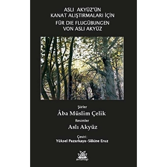 Aslı Akyüz'ün Kanat Çalışmaları Için