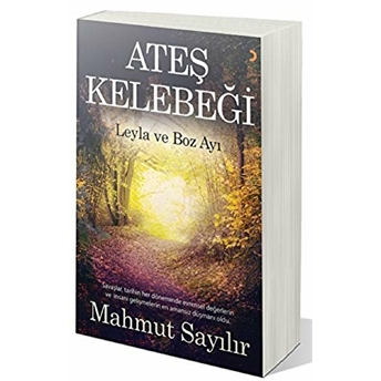 Ateş Kelebeği - Mahmut Sayılır