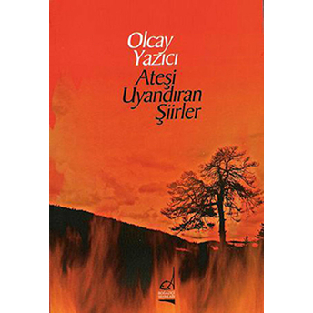 Ateşi Uyandıran Şiirler Olcay Yazıcı