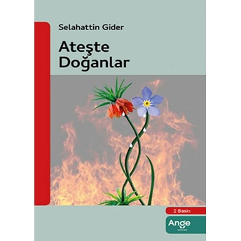 Ateşle Doğanlar Selahattin Gider