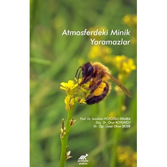 Atmosferdeki Minik Yaramazlar Kolektif