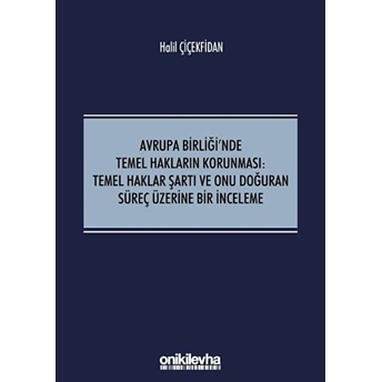 Avrupa Birliği'nde Temel Hakların Korunması: Temel Haklar Şartı Ve Onu Doğuran Süreç Üzerine Bir Inceleme