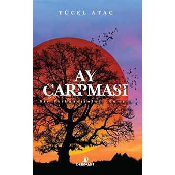 Ay Çarpması Yücel Ataç