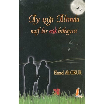 Ay Işığı Altında Naif Bir Aşk Hikayesi Ekmel Ali Okur