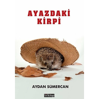 Ayazdaki Kirpi - Aydan Sümercan