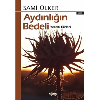 Aydınlığın Bedeli