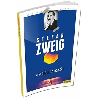 Ayışığı Sokağı Stefan Zweig