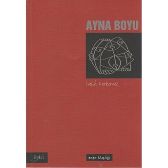 Ayna Boyu