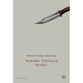 Aynada Yürüyen Sesler Mehmet Özkan Şüküran