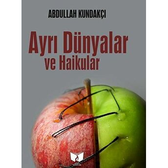 Ayrı Dünyalar Abdullah Kundakçı