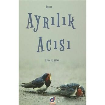 Ayrılık Acısı Mehmet Aslan