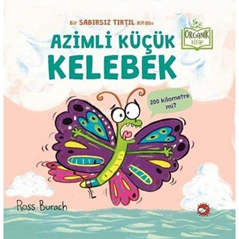 Azimli Küçük Kelebek Ross Burach