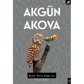 Baba Bana Bağırma Akgün Akova