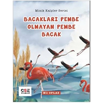 Bacakları Pembe Olmayan Pembe Bacak - Minik Kalpler Serisi