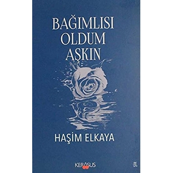 Bağımlısı Oldum Aşkın Haşim Elkaya