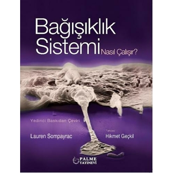 Bağışıklık Sistemi Nasıl Çalışır Lauren Sompayrac