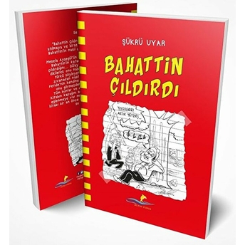 Bahattin Çıldırdı