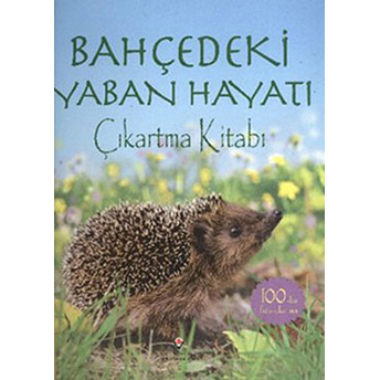 Bahçedeki Yaban Hayatı Çıkartma Kitabı Philip Clarke