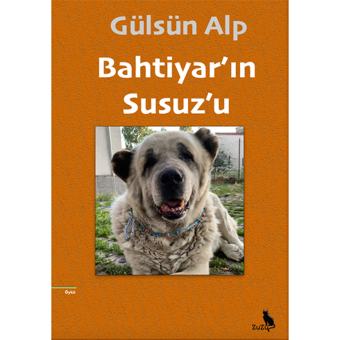 Bahtiyarın Susuzu Gülsün Alp