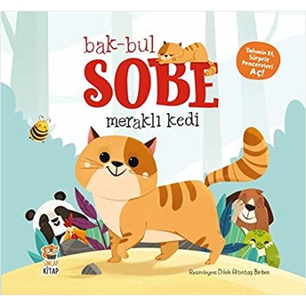 Bak-Bul Sobe - Meraklı Kedi Kolektif