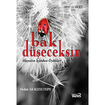 Bak Düşeceksin Vedat Ali Kızıltepe