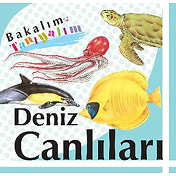 Bakalım Tanıyalım Deniz Canlıları (Ciltli) Kolektif