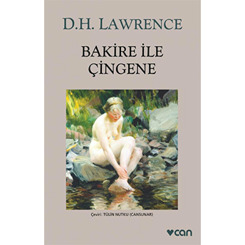 Bakire Ile Çingene (Gri Kapak) D. H. Lawrence