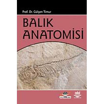 Balık Anatomisi Gülşen Timur