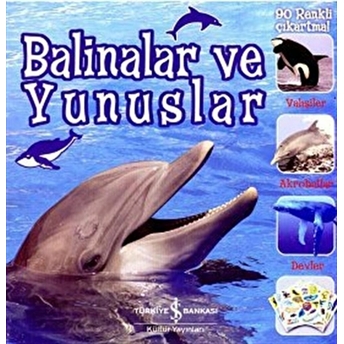 Balinalar Ve Yunuslar Kolektif