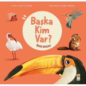 Bana Benzer - Başka Kim Var Ceren Çukadar