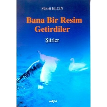 Bana Bir Resim Getirdiler Şükrü Elçin