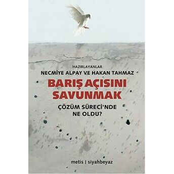 Barış Açısını Savunmak Çözüm Sürecinde Ne Oldu? Kolektif