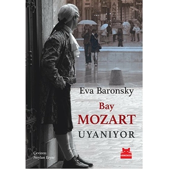 Bay Mozart Uyanıyor Eva Baronsky