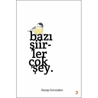 Bazı Şiirler Çok Şey.