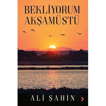 Bekliyorum Akşamüstü - Ali Şahin