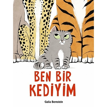 Ben Bir Kediyim (Ciltli) Galia Bernstein