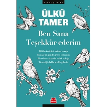 Ben Sana Teşekkür Ederim Ülkü Tamer