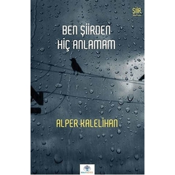 Ben Şiirden Hiç Anlamam Alper Kalelihan