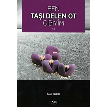 Ben Taşı Delen Ot Gibiyim Erdal Yalçın