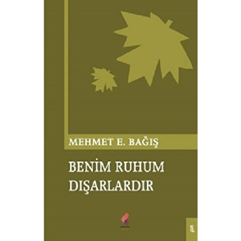 Benim Ruhum Dışarlardır Mehmet Emin Bağış