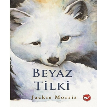 Beyaz Tilki Jackie Morris