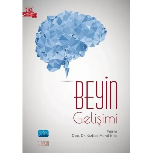 Beyin Gelişimi