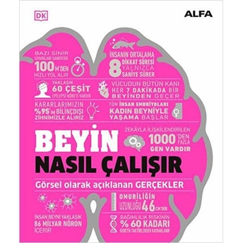 Beyin Nasıl Çalışır Kolektıf