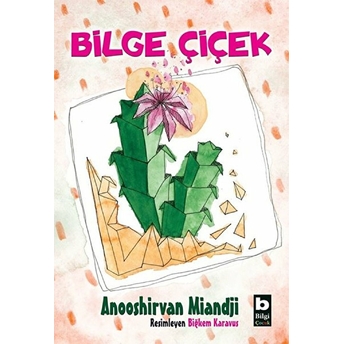 Bilge Çiçek Anooshirvan Miandji