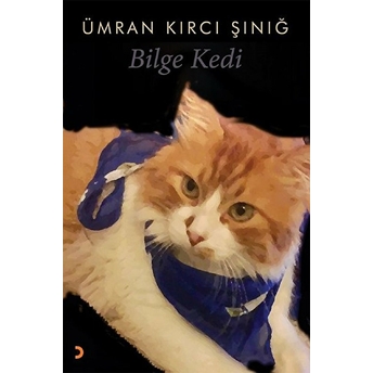 Bilge Kedi - Ümran Kırcı Sınığ