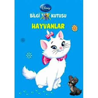 Bilgi Kutusu - Hayvanlar Kolektif