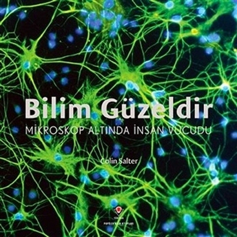 Bilim Güzeldir - Mikroskop Altında Insan Vücudu